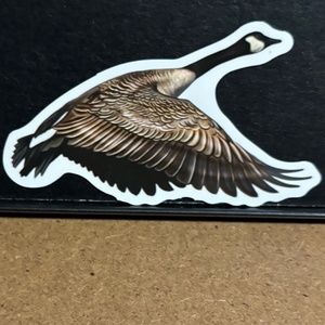 FLYING GEESE BIRD  STCKER